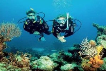 PADI Aware – Coral Reef Course in Hurghada