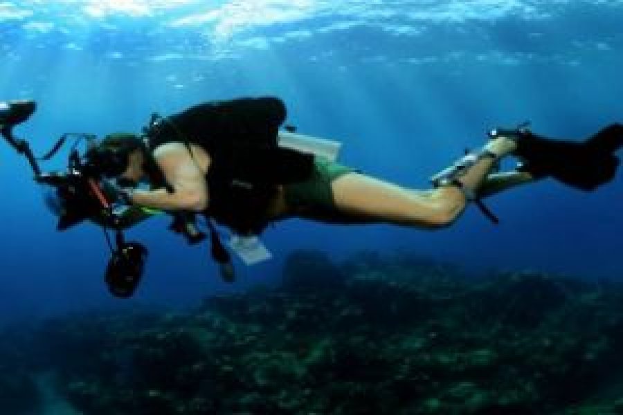 Digital Underwater Photographer Hurghada