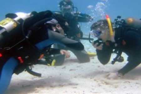 PADI Equipment Specialist in Hurghada