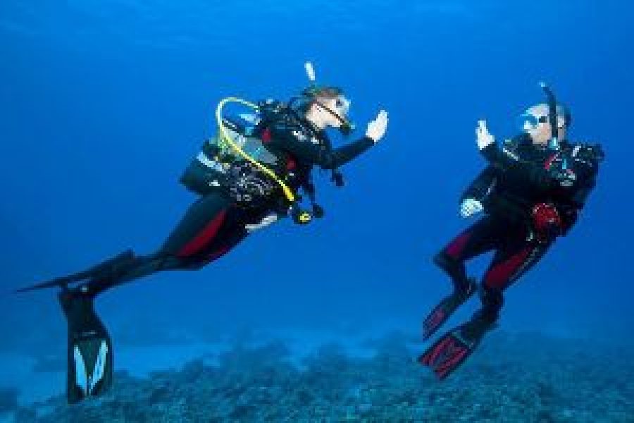 PADI Open Water Diver Course