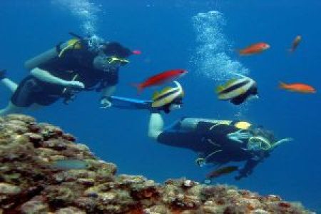 PADI Scuba Diver Course