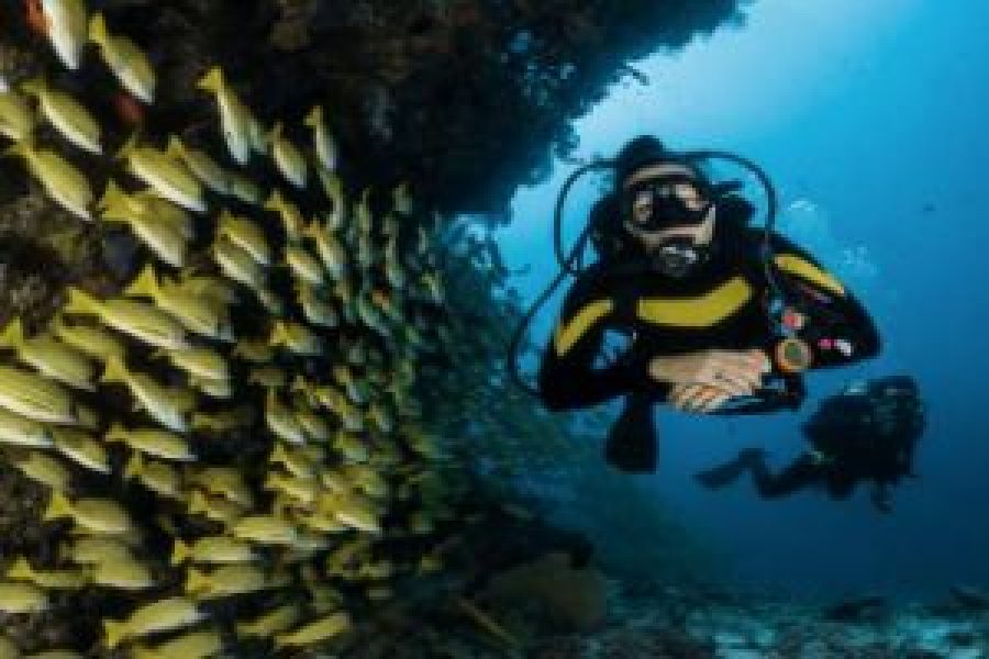 PADI Underwater Navigator in Hurghada