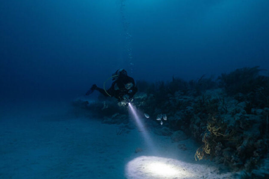 Night Diver course in Hurghada