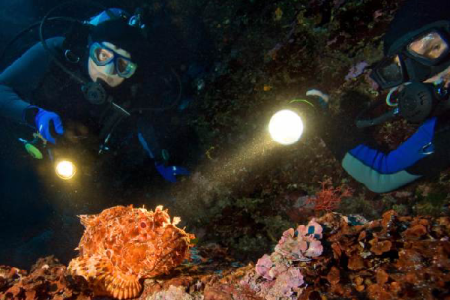 Night Diver course in Hurghada