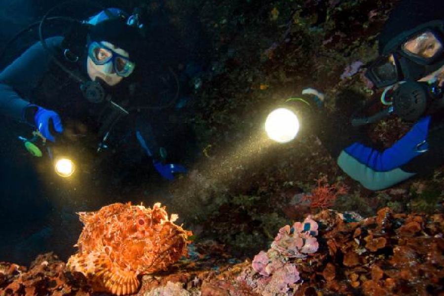 Night Diver course in Hurghada