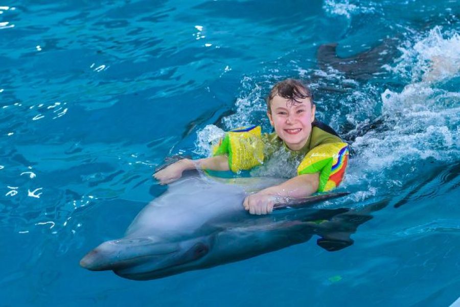 Dolphin show Hurghada