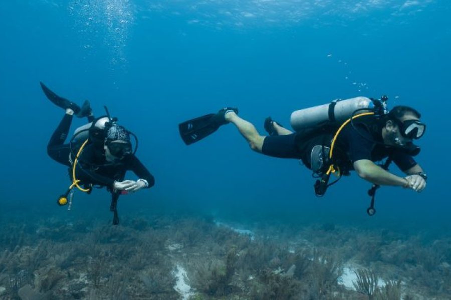 PADI Deep Diver in Hurghada