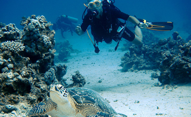 PADI Adventure Diver in Marsa Alam