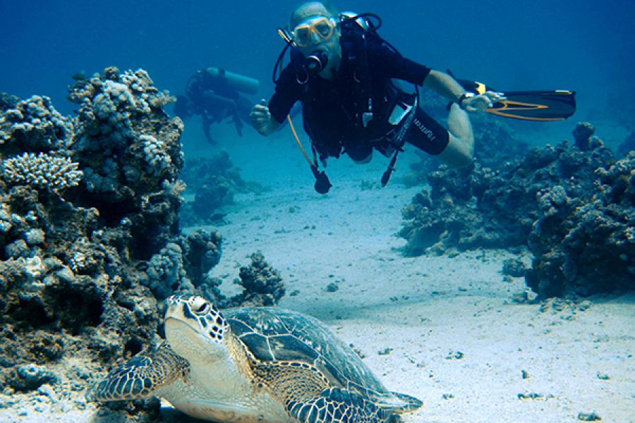 PADI Adventure Diver in Marsa Alam