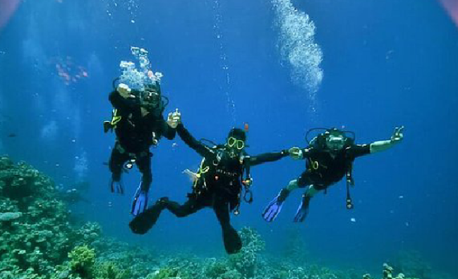 Adventure Diver in Sharm El-Sheikh.