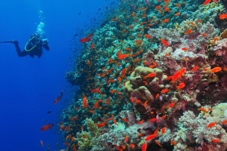 Adventure Diver in Dahab