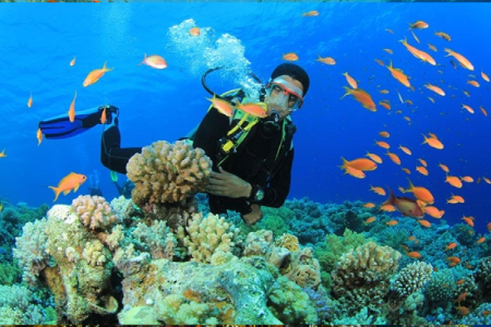 Boat Diver in Marsa Alam