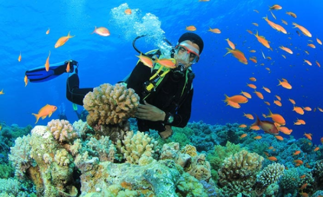 Boat Diver in Marsa Alam