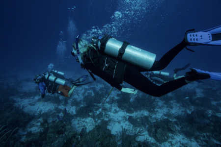 Boat Diver course in Sharm El-Sheikh