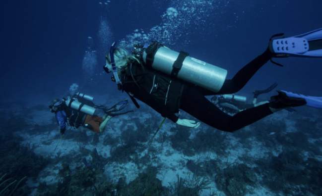 Boat Diver course in Sharm El-Sheikh