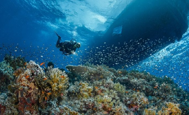 Deep Diver in Marsa Alam