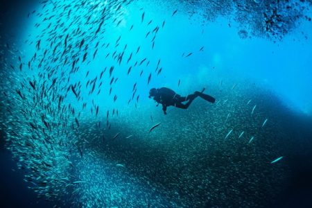 Deep Diver in Sharm El-Sheikh