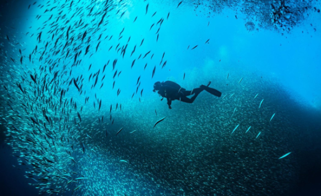 Deep Diver in Sharm El-Sheikh