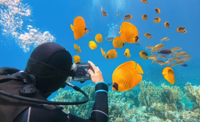 Digital Underwater Photographer in Sharm El-Sheikh.