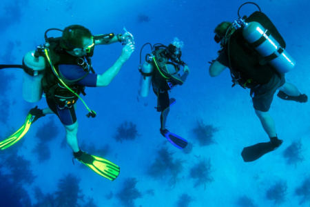 PADI Divemaster in Marsa Alam