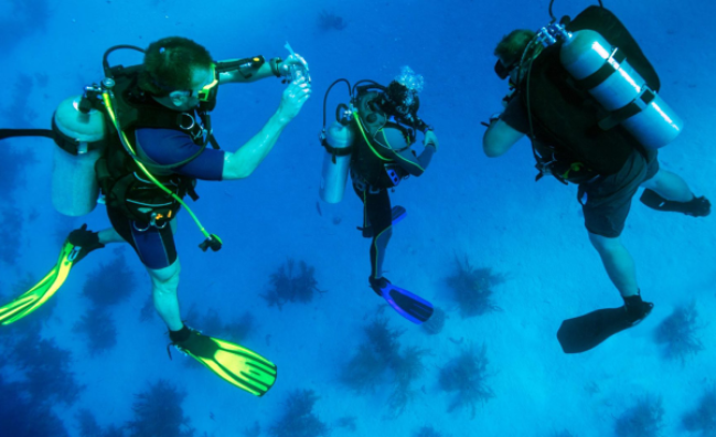 PADI Divemaster in Marsa Alam