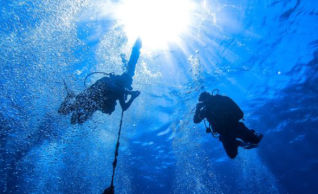 PADI Divemaster in Sharm El-Sheikh