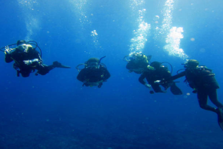 PADI Divemaster in Dahab