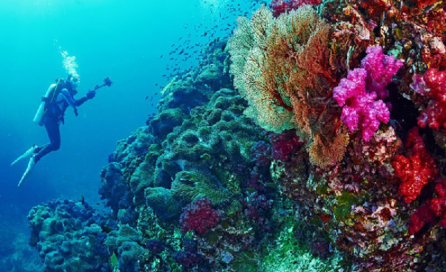 Drift Diver in Marsa Alam