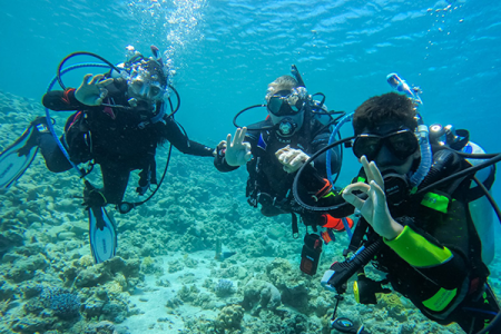 PADI Open Water Diver Course in Dahab