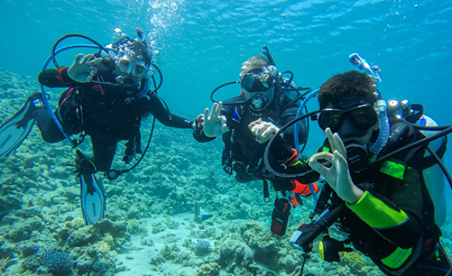 PADI Open Water Diver Course in Dahab