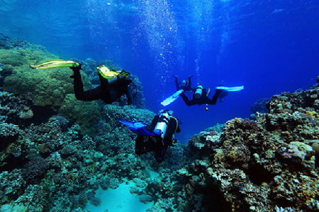 Open Water Diver Referral Course in Sharm El-Sheikh