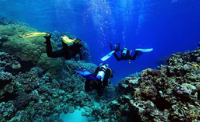 Open Water Diver Referral Course in Sharm El-Sheikh