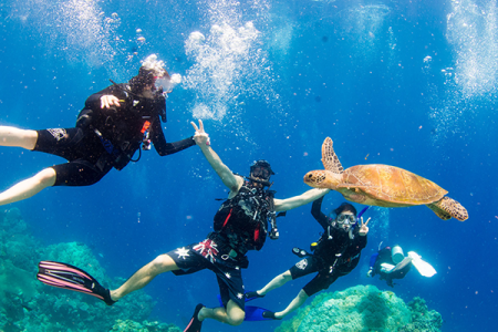 PADI OPEN WATER REFERRAL COURSE In Dahab