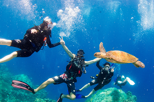 PADI Open Water Diver Referral Course in Dahab