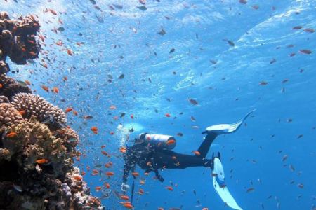 PADI Advanced Open Water Course in Dahab