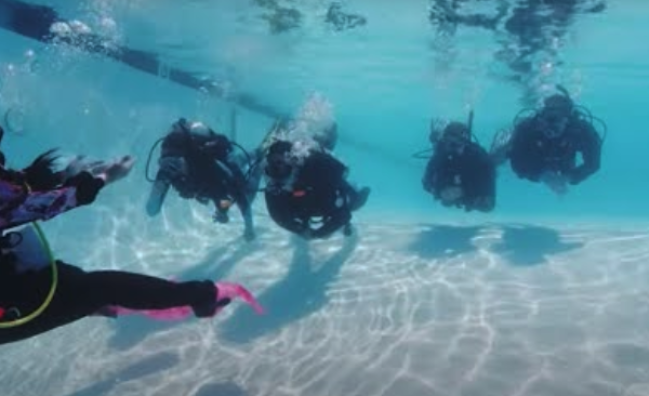 PADI Advanced Open Water Course in Sharm El-Sheikh