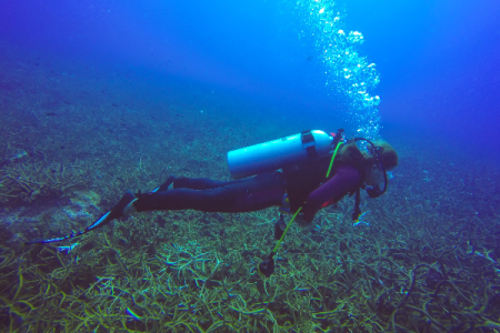 PADI underwater navigator in dahab