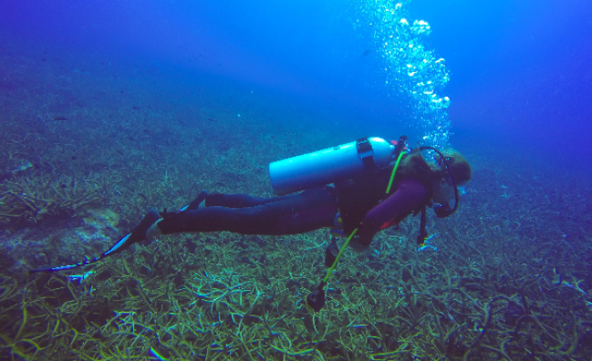 PADI underwater navigator in dahab