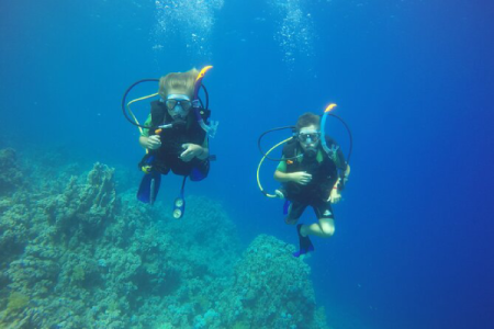 PADI Open Water Diver Course in Sharm El-Sheikh