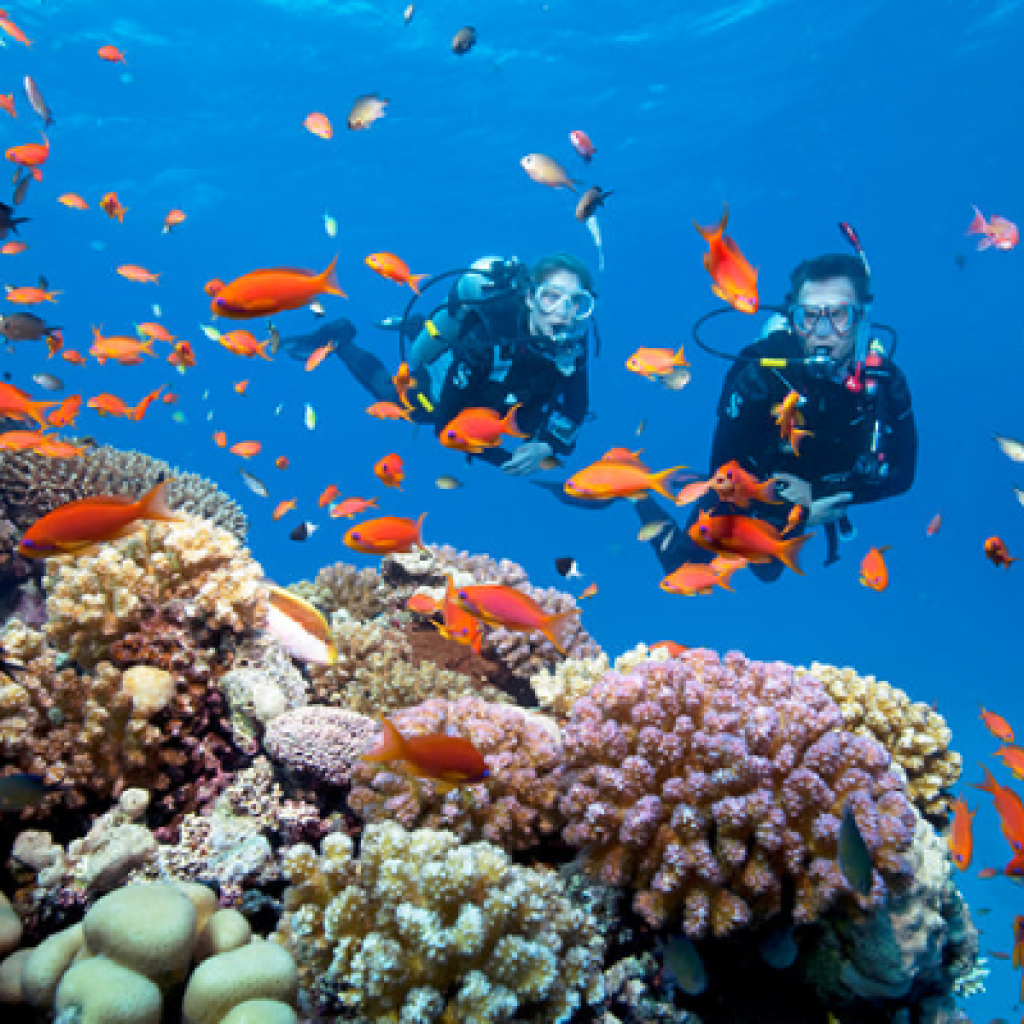 PADI Scuba Diver in Dahab