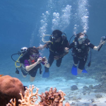 Scuba Divers Dahab