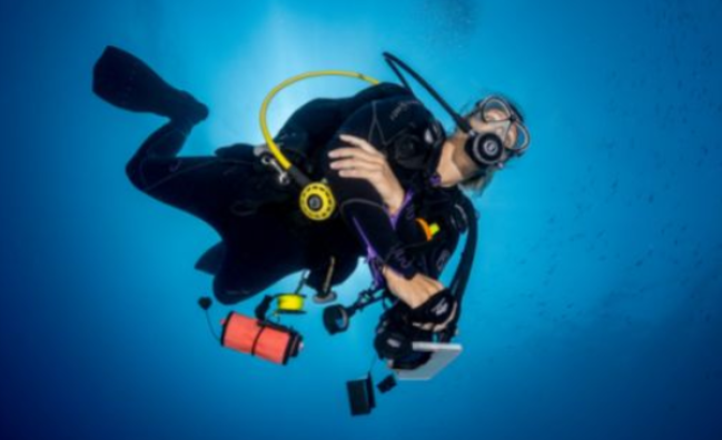 Underwater Navigator course in Sharm El-Sheikh