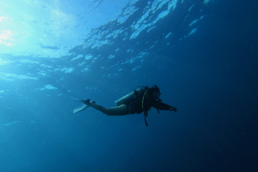 Peak Performance Buoyancy in Marsa Alam