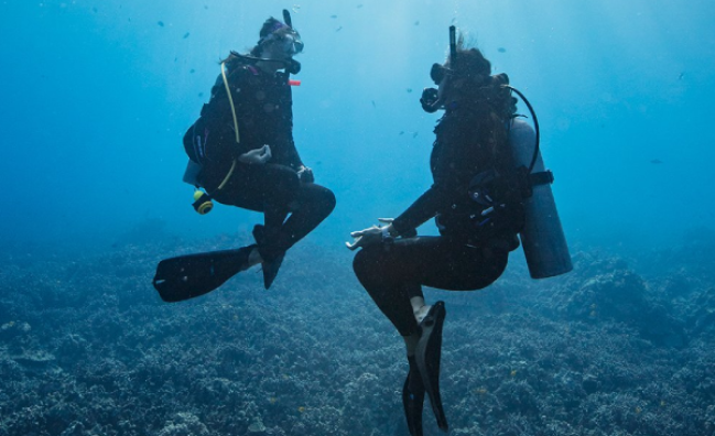 Peak Performance Buoyancy in Sharm El-Sheikh