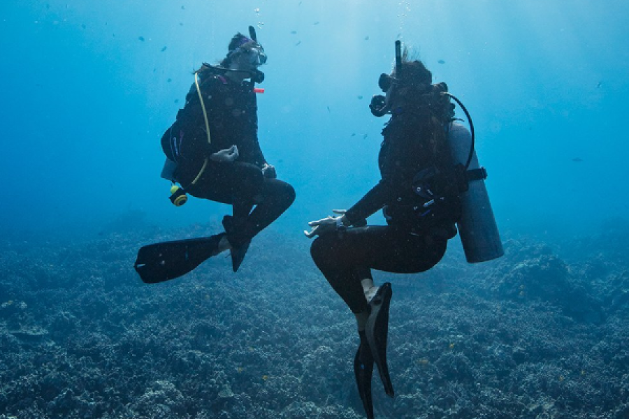 Peak Performance Buoyancy in Sharm El-Sheikh