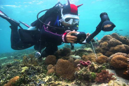 PADI Underwater Videographer Course in Dahab.