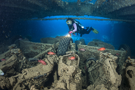 Wreck Diver in Sharm El-Sheikh