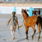 horse riding in Hurghada