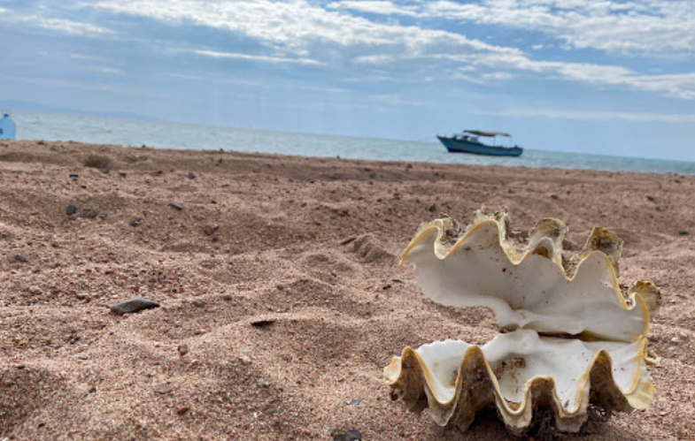 Best Beaches in Dahab for Swimming